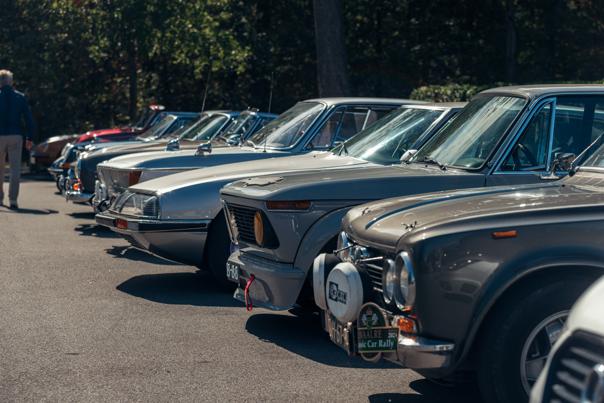 Rij klassiekers in het rustveld van de Waalre Classic Car Rally